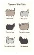 The Many Lives Of Pusheen The Cat For Discount