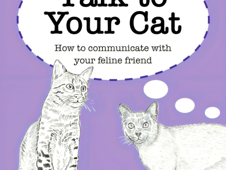 Talk to Your Cat: How to Communicate with Your Feline Friend Online now