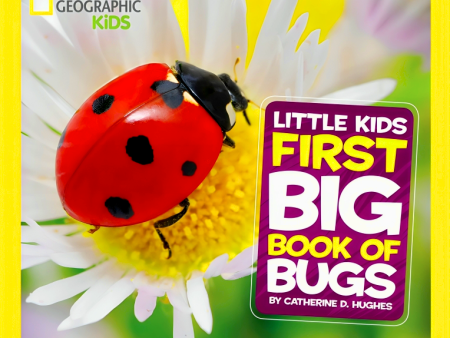 National Geographic Little Kids First Big Book Of Bugs Online Hot Sale