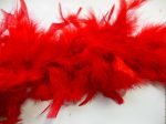 Red Feather Decor Boa 6 FT Supply