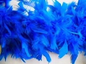 Royal Blue Feather Decor Boa 6 Feet Online