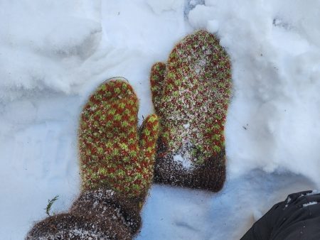 Surf Mittens Online