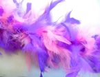 Pink and Purple Feather Decor Boa 6 Feet Online Sale