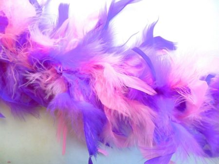 Pink and Purple Feather Decor Boa 6 Feet Online Sale